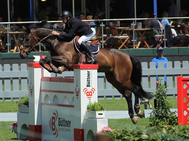 全的义务 全的义务