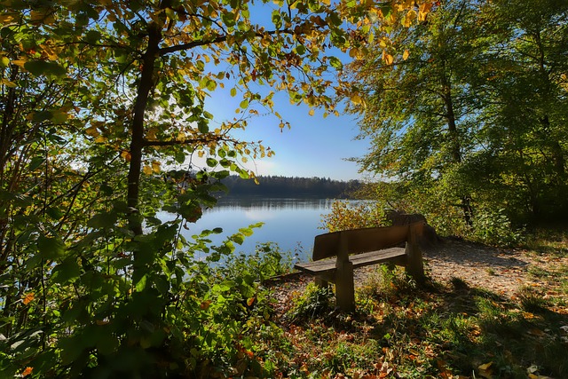 技战术水平 技战术水平