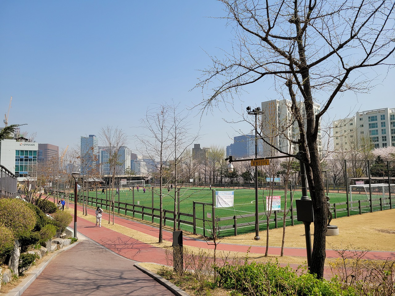 将是决定他