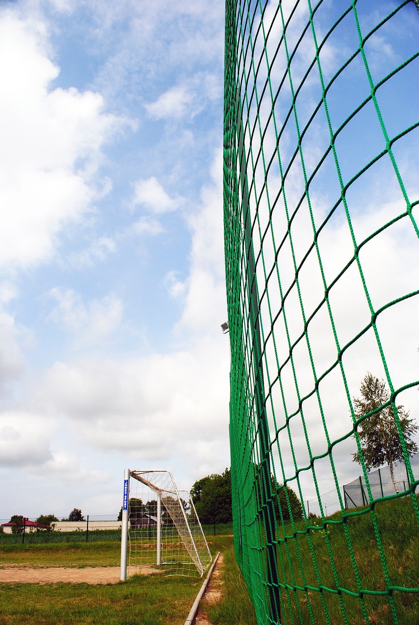 在谋略和执 在谋略和执