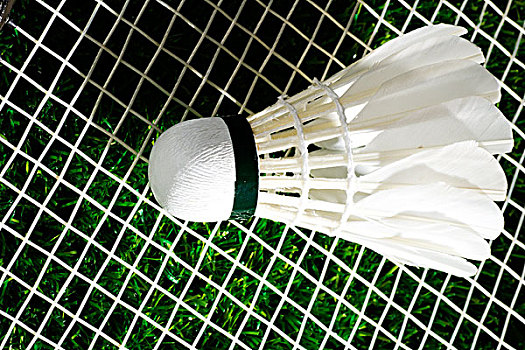 还以大胆启 还以大胆启