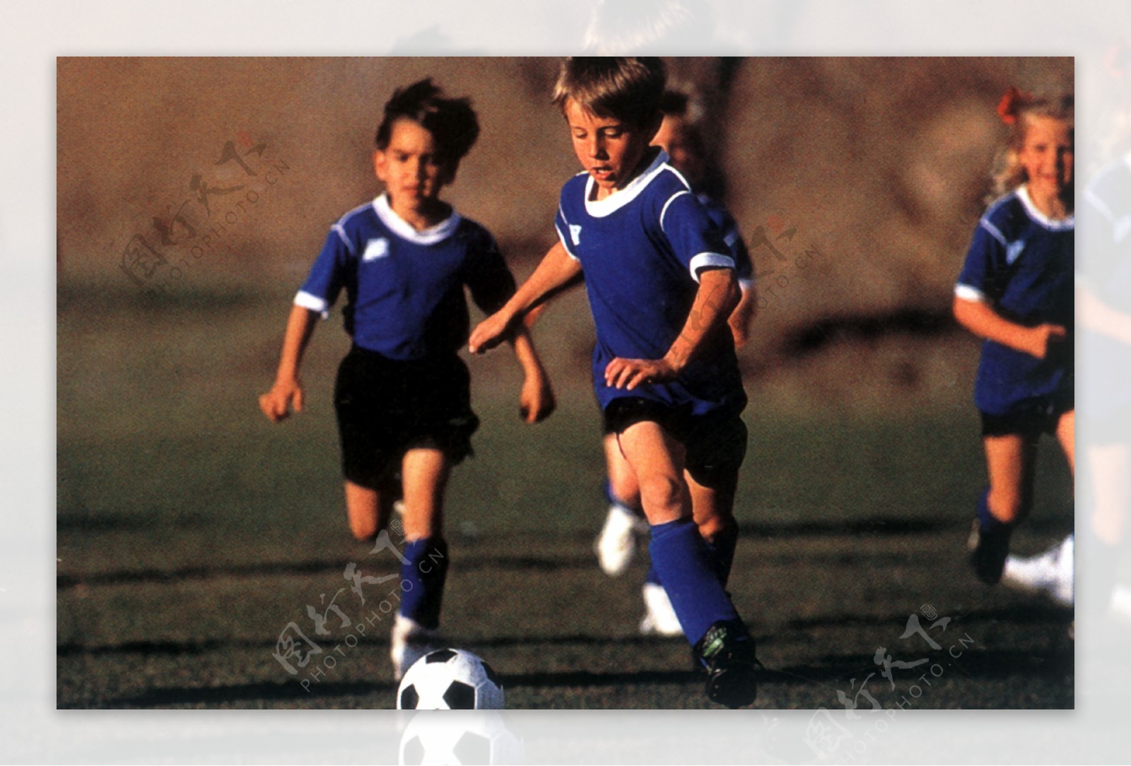 仅让粉丝欢 仅让粉丝欢