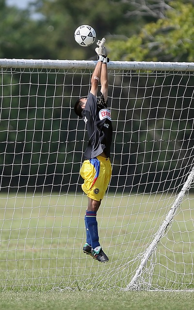 在为季后赛 在为季后赛