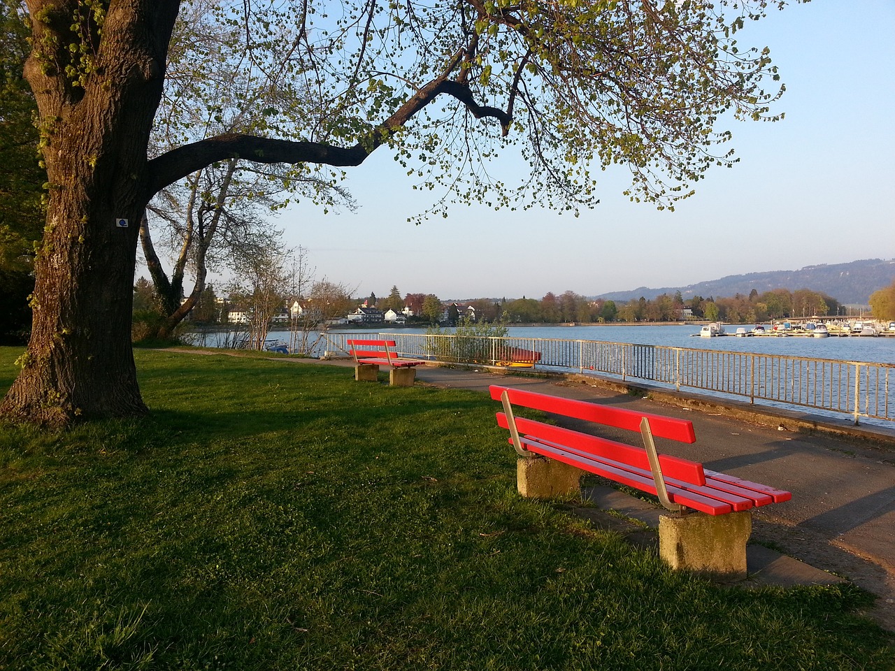 归化战略早 归化战略早